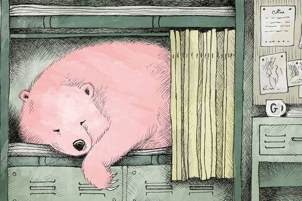 Bear